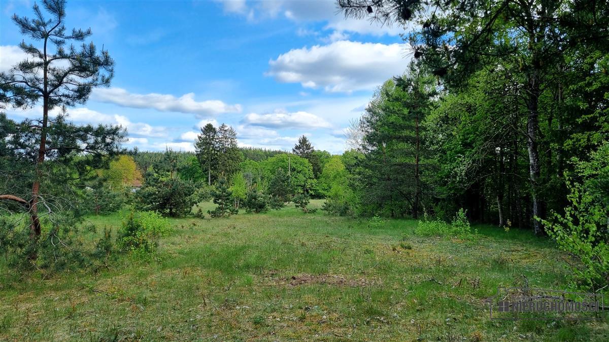 Sprzedaż Działka budowlana Drężno