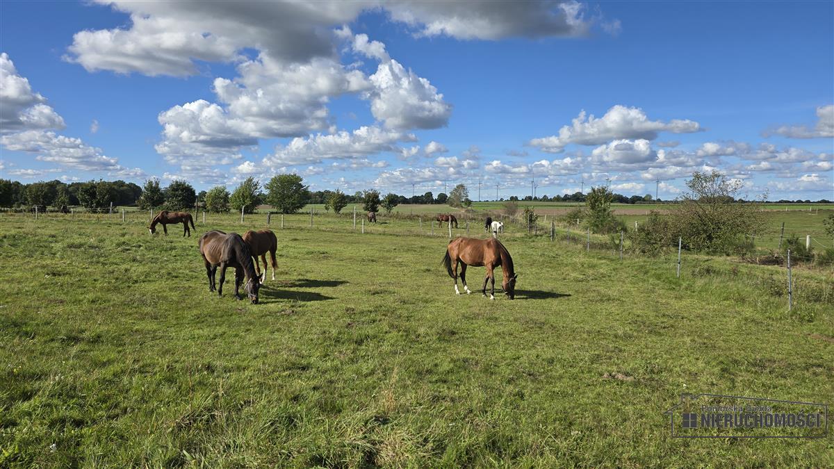 Sprzedaż Działka budowlana Dargikowo