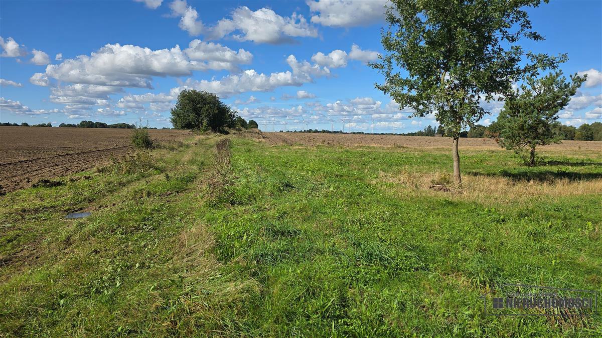 Sprzedaż Działka rolna Dargikowo