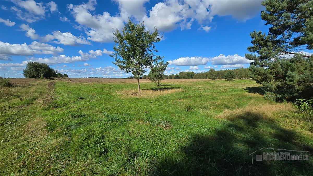 Sprzedaż Działka rolna Dargikowo