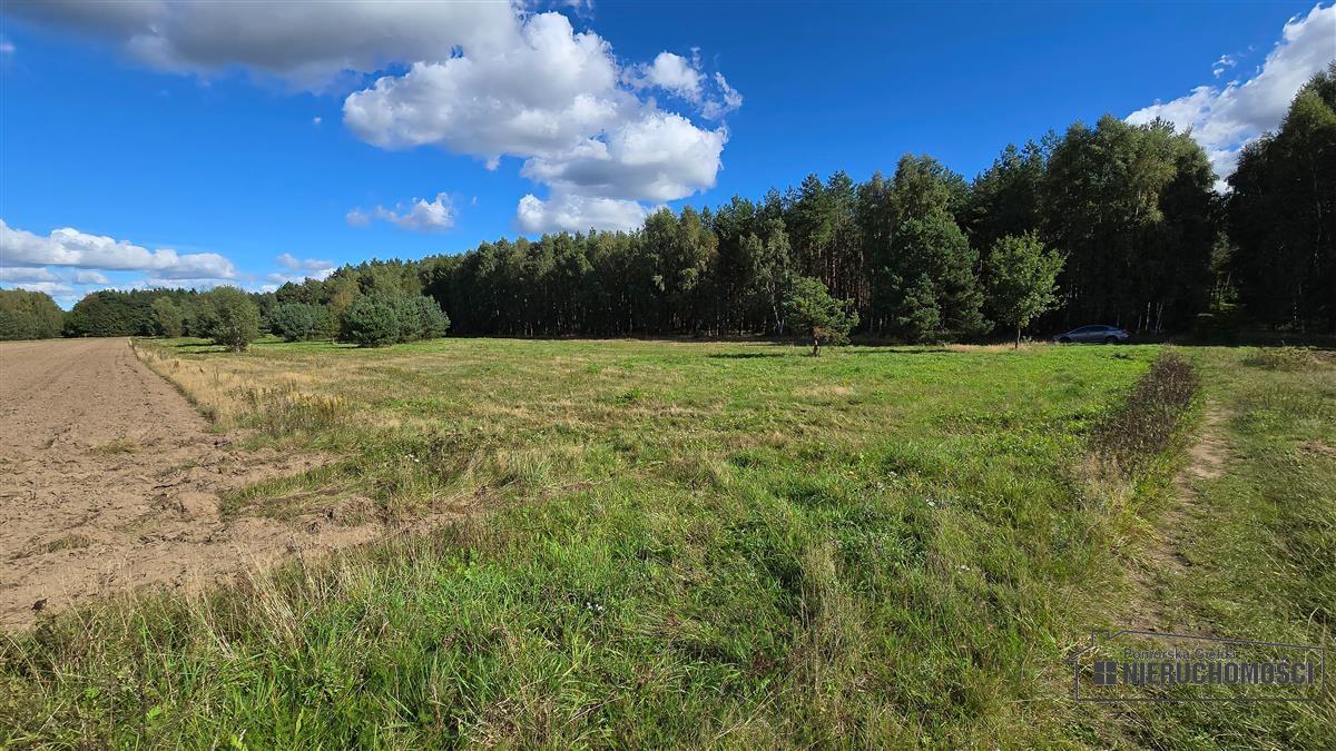 Sprzedaż Działka rolna Dargikowo