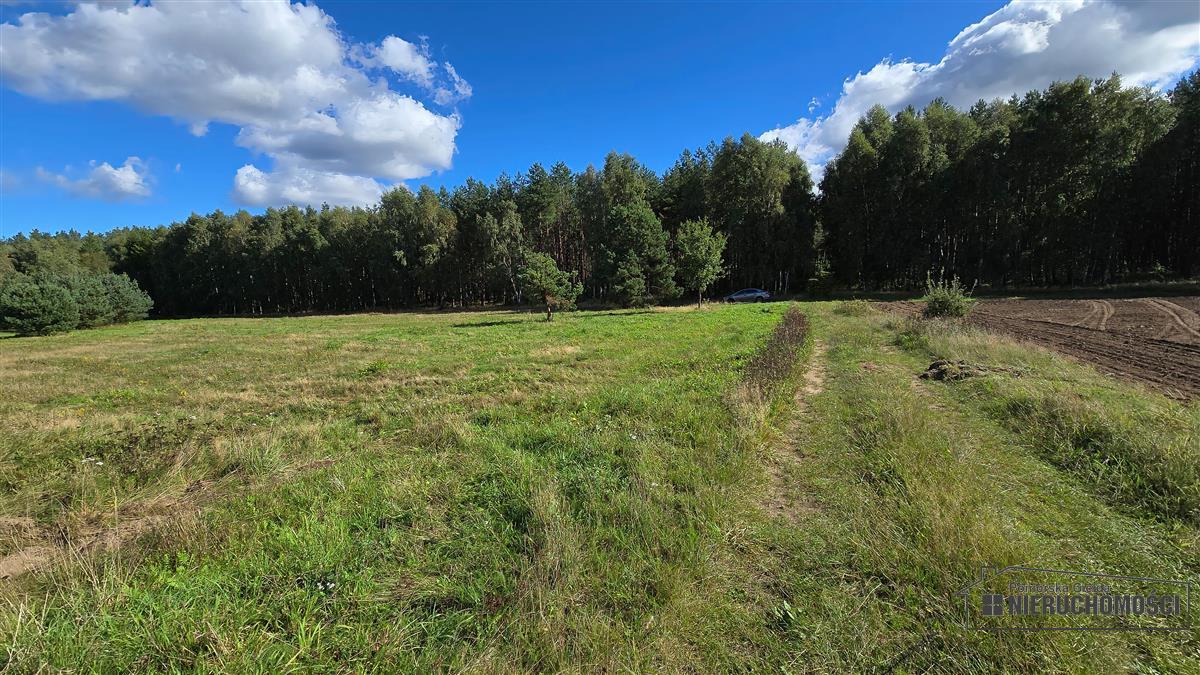 Sprzedaż Działka rolna Dargikowo