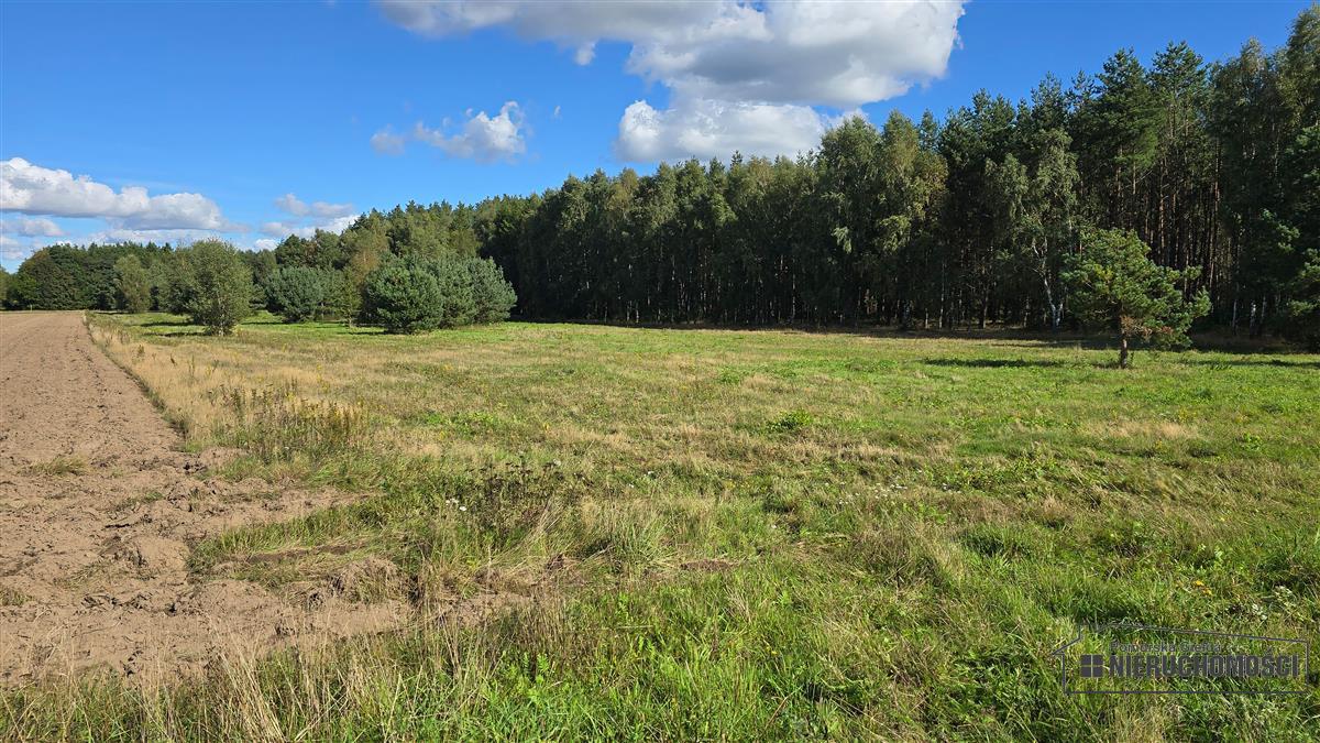 Sprzedaż Działka rolna Dargikowo