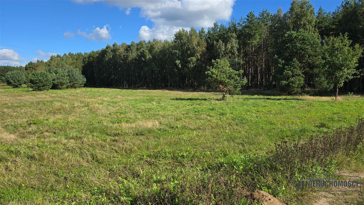 Sprzedaż Działka rolna Dargikowo