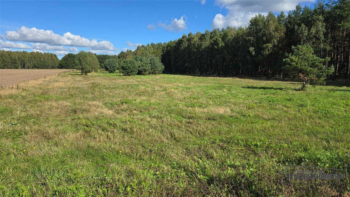 Sprzedaż Działka rolna Dargikowo