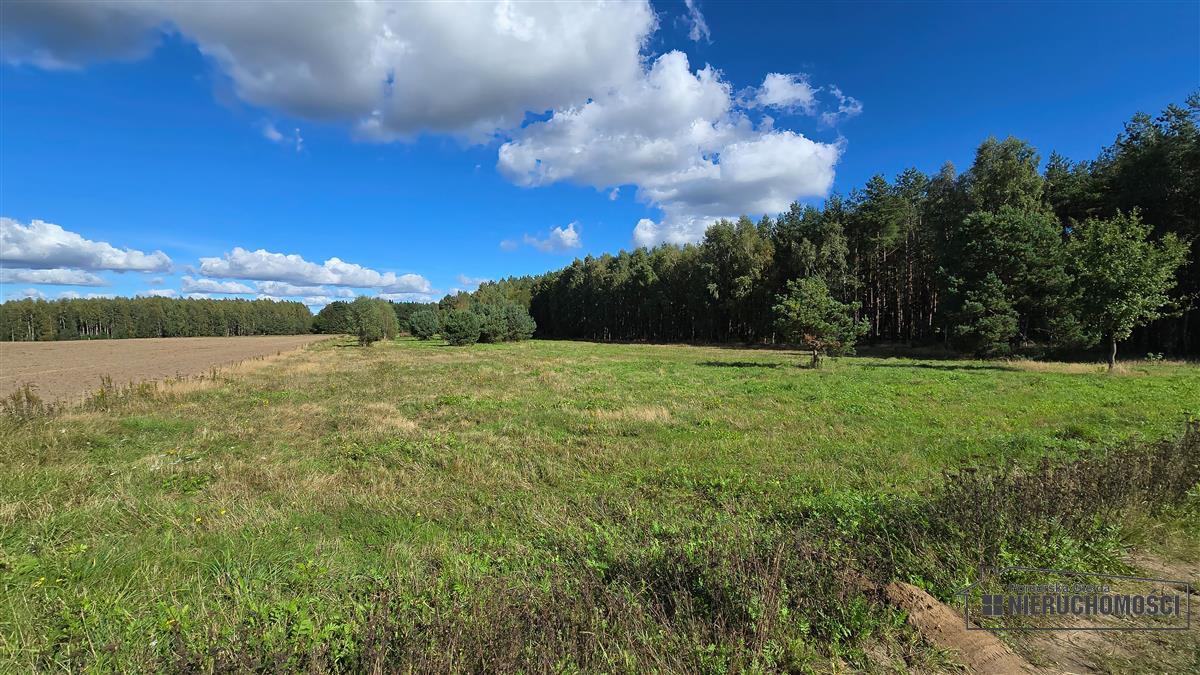 Sprzedaż Działka rolna Dargikowo