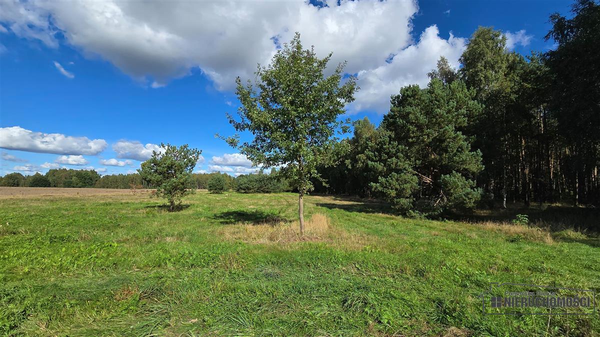 Sprzedaż Działka rolna Dargikowo