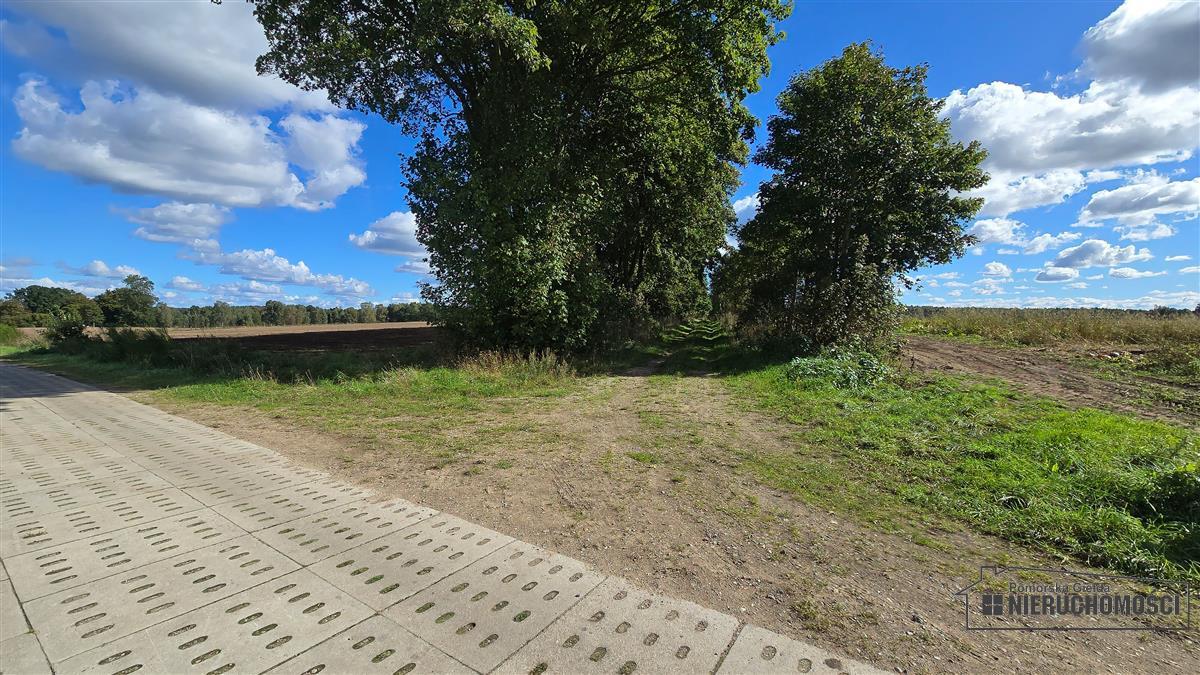 Sprzedaż Działka rolna Dargikowo