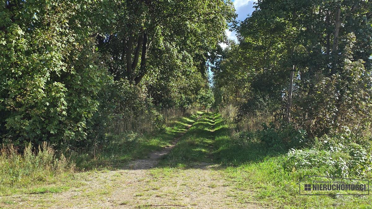 Sprzedaż Działka rolna Dargikowo