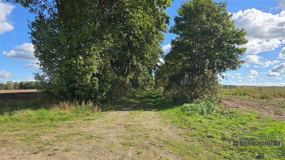 Sprzedaż Działka rolna Dargikowo