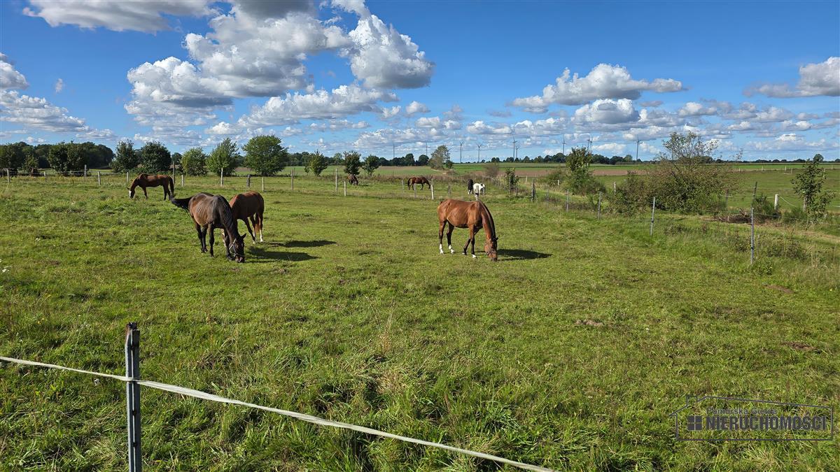 Sprzedaż Działka rolna Dargikowo