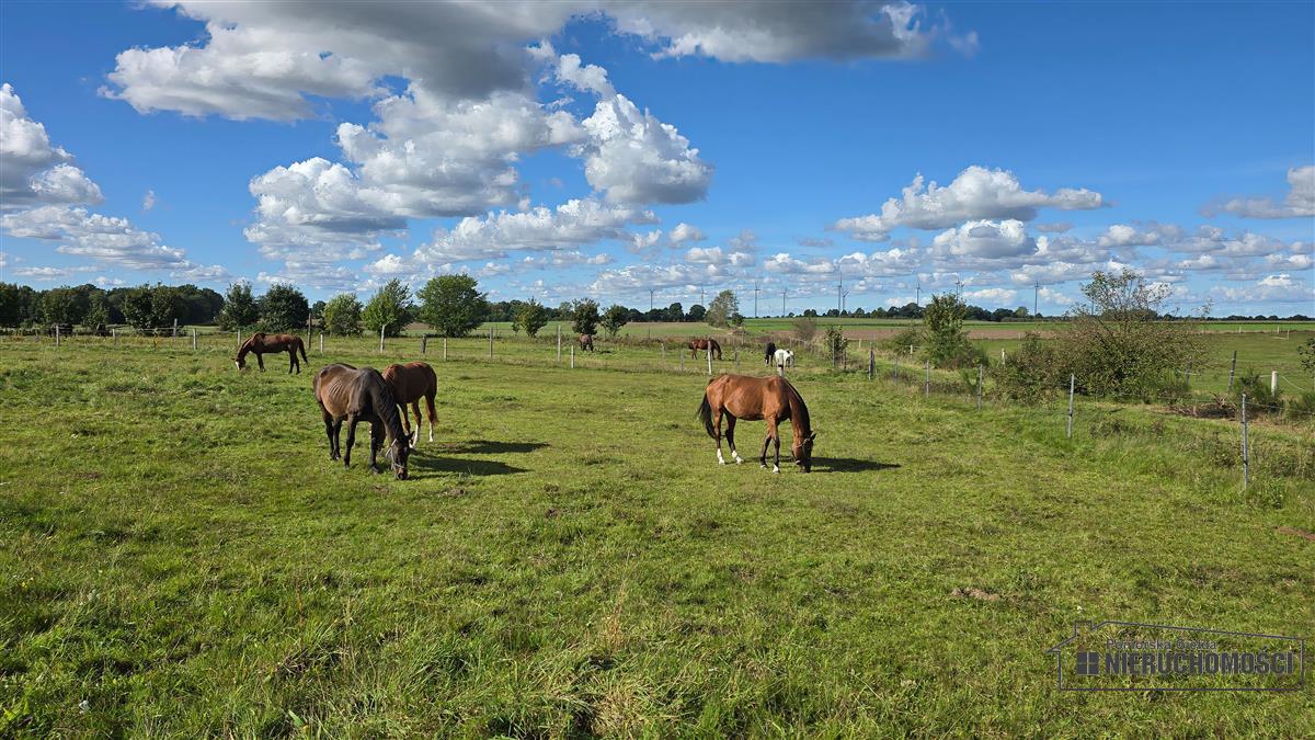 Sprzedaż Działka rolna Dargikowo