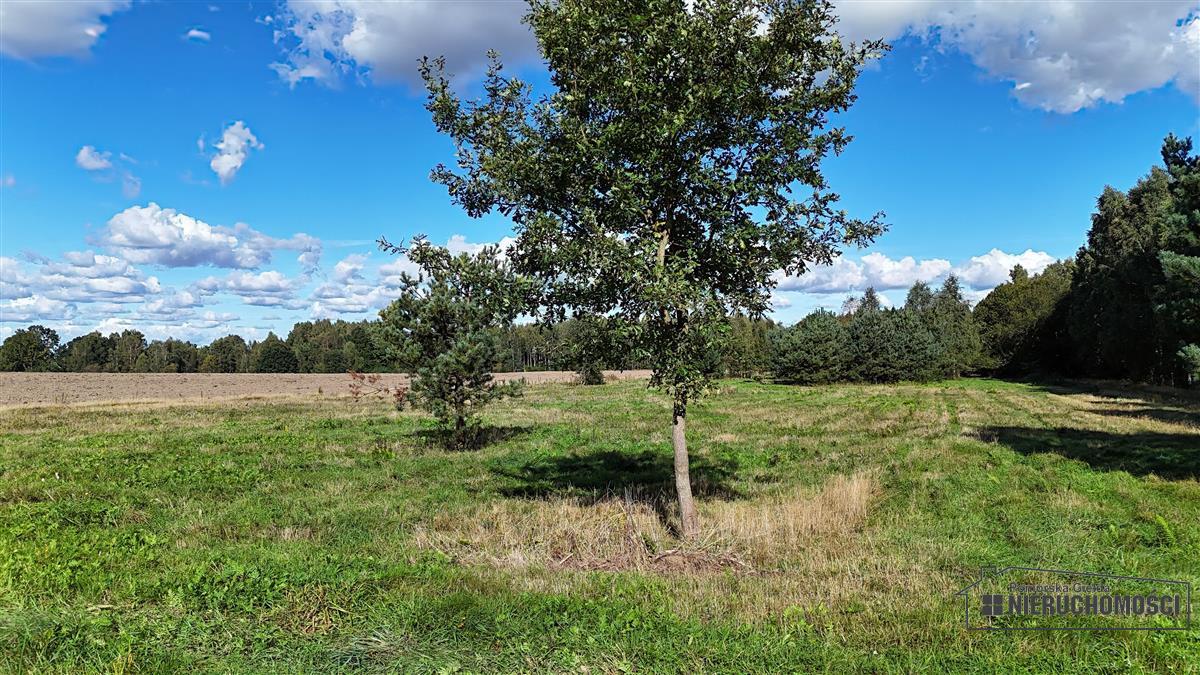 Sprzedaż Działka rolna Dargikowo