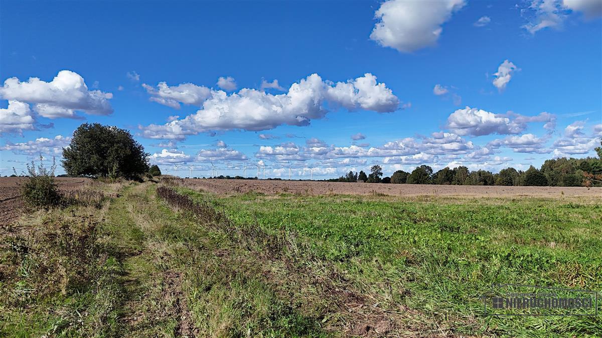 Sprzedaż Działka rolna Dargikowo