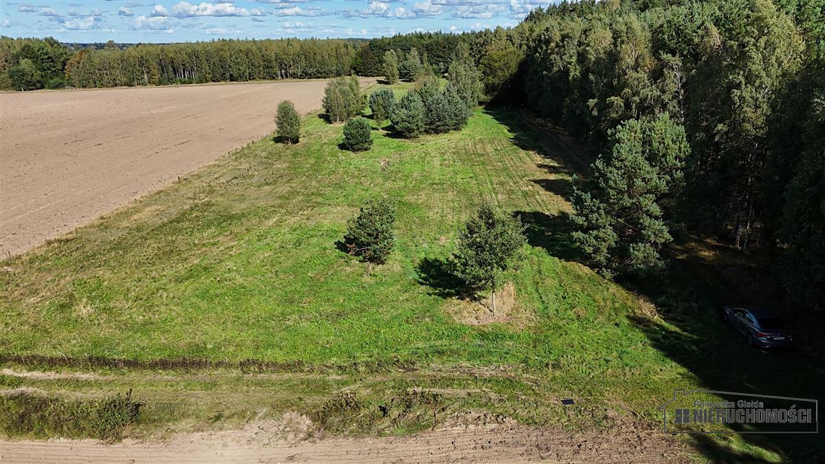 Sprzedaż Działka rolna Dargikowo
