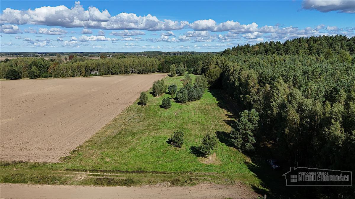 Sprzedaż Działka rolna Dargikowo