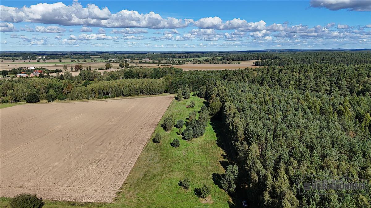 Sprzedaż Działka rolna Dargikowo