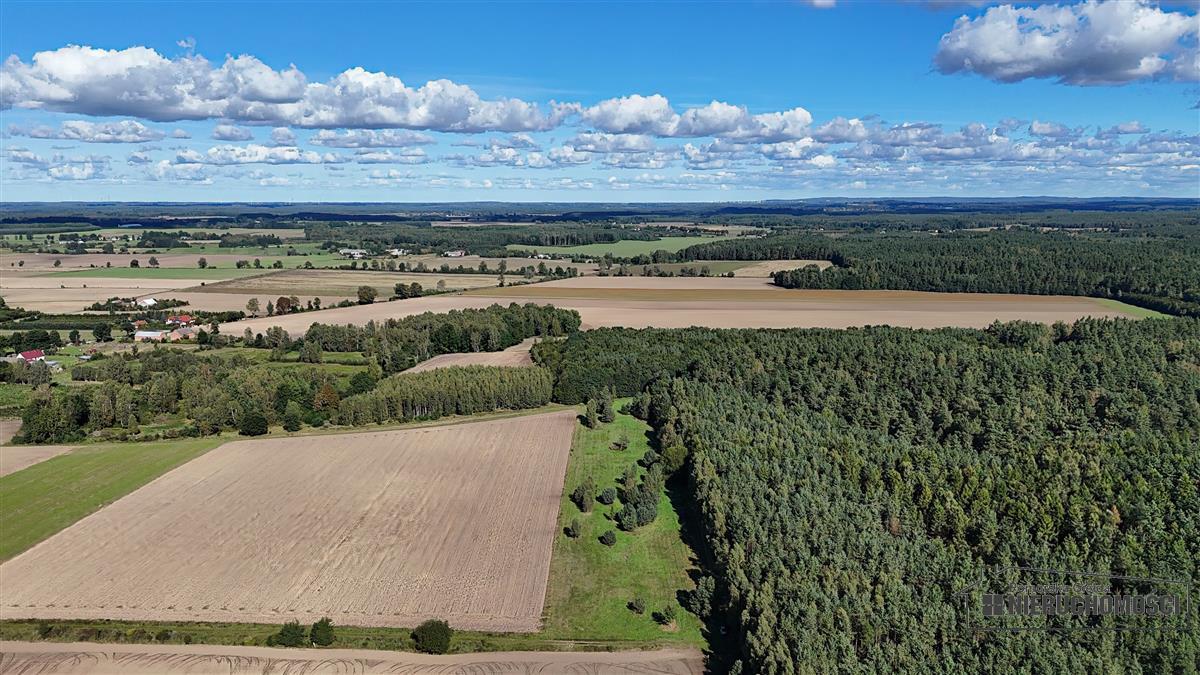 Sprzedaż Działka rolna Dargikowo