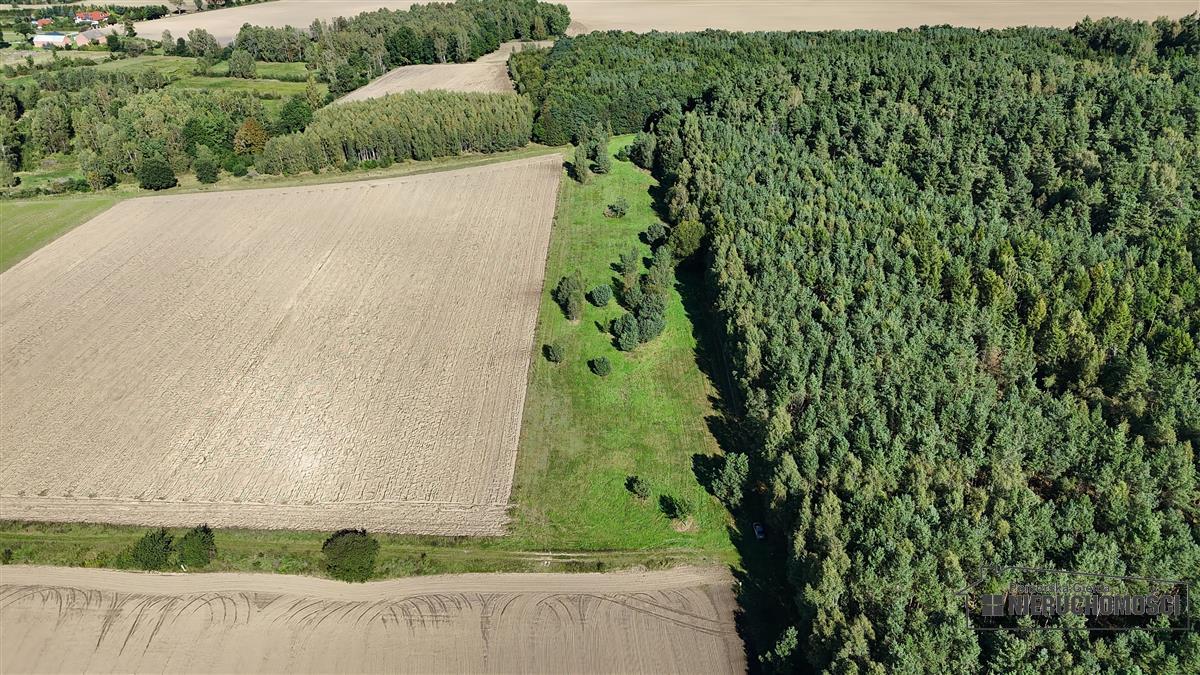 Sprzedaż Działka rolna Dargikowo