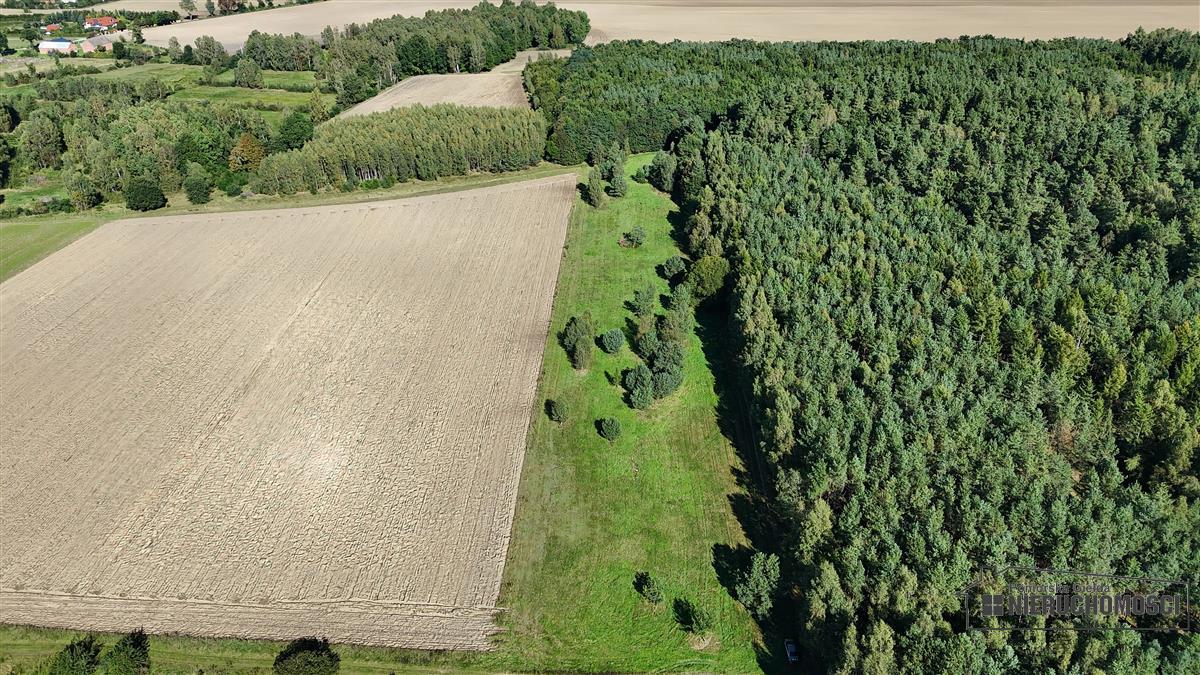 Sprzedaż Działka rolna Dargikowo