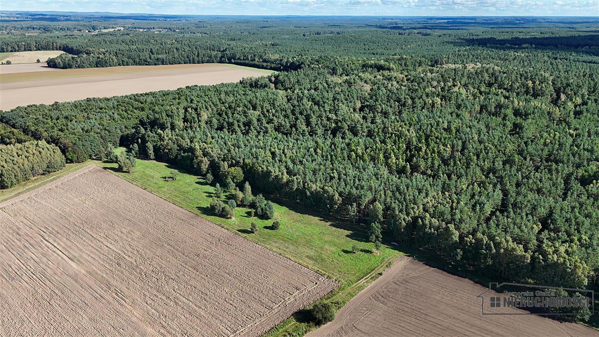 Sprzedaż Działka rolna Dargikowo