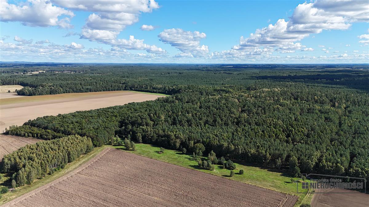 Sprzedaż Działka rolna Dargikowo