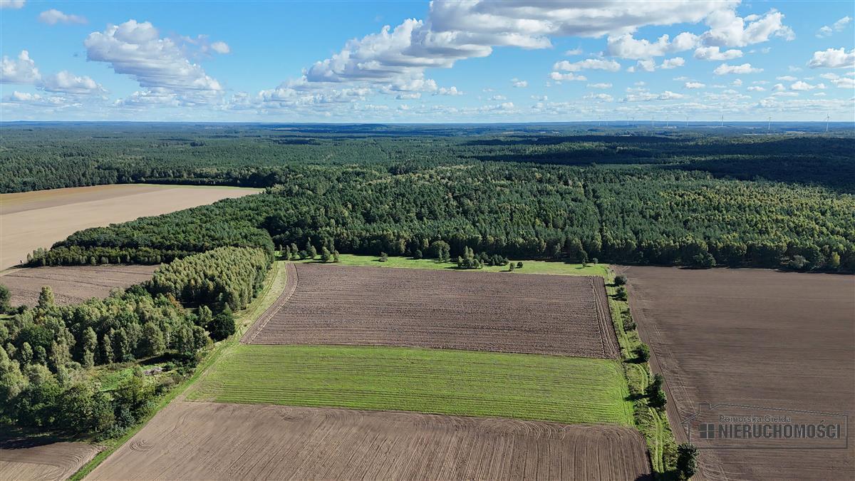 Sprzedaż Działka rolna Dargikowo