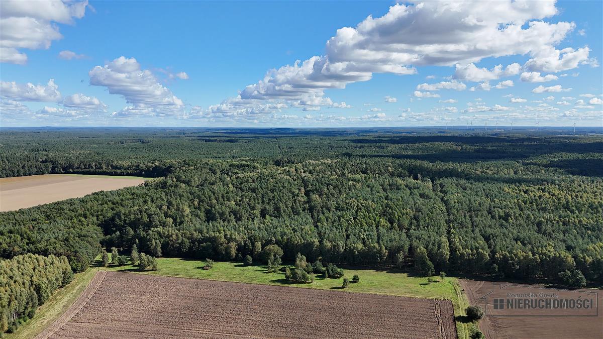 Sprzedaż Działka rolna Dargikowo