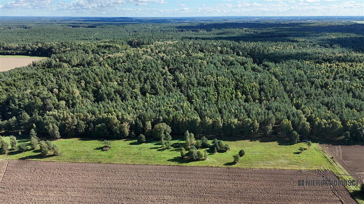 Sprzedaż Działka rolna Dargikowo