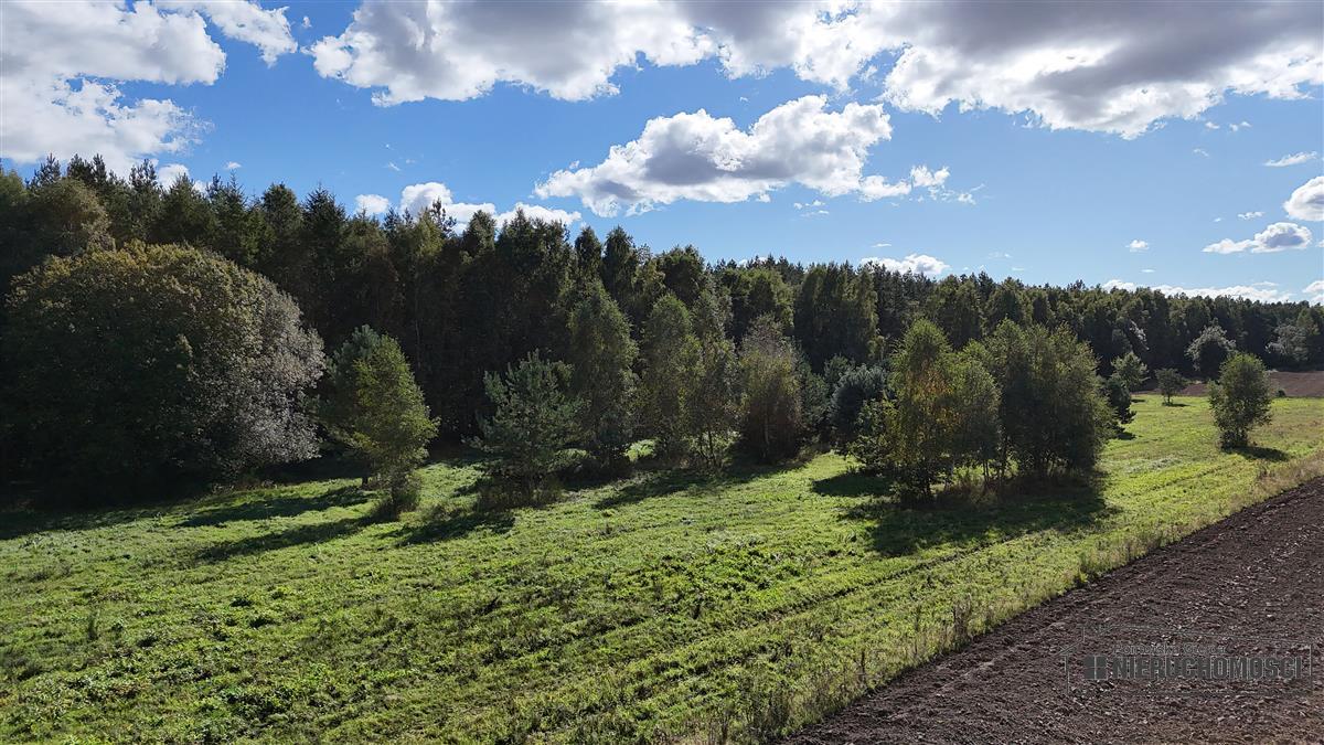 Sprzedaż Działka rolna Dargikowo