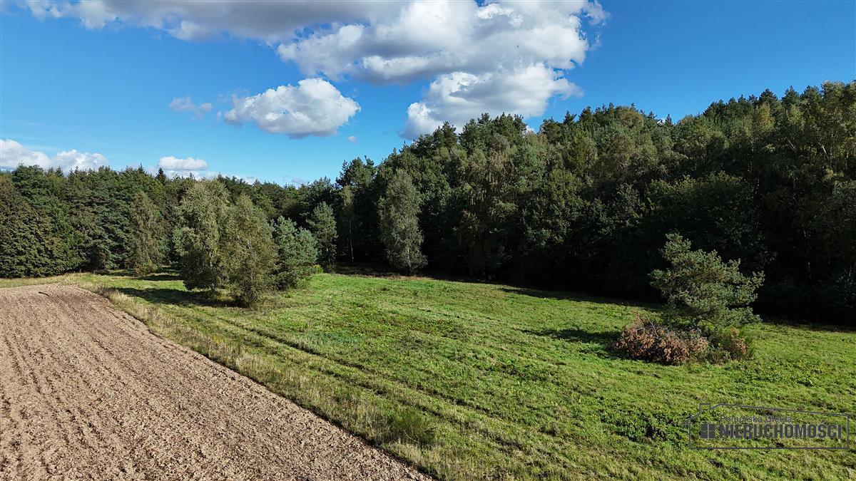 Sprzedaż Działka rolna Dargikowo