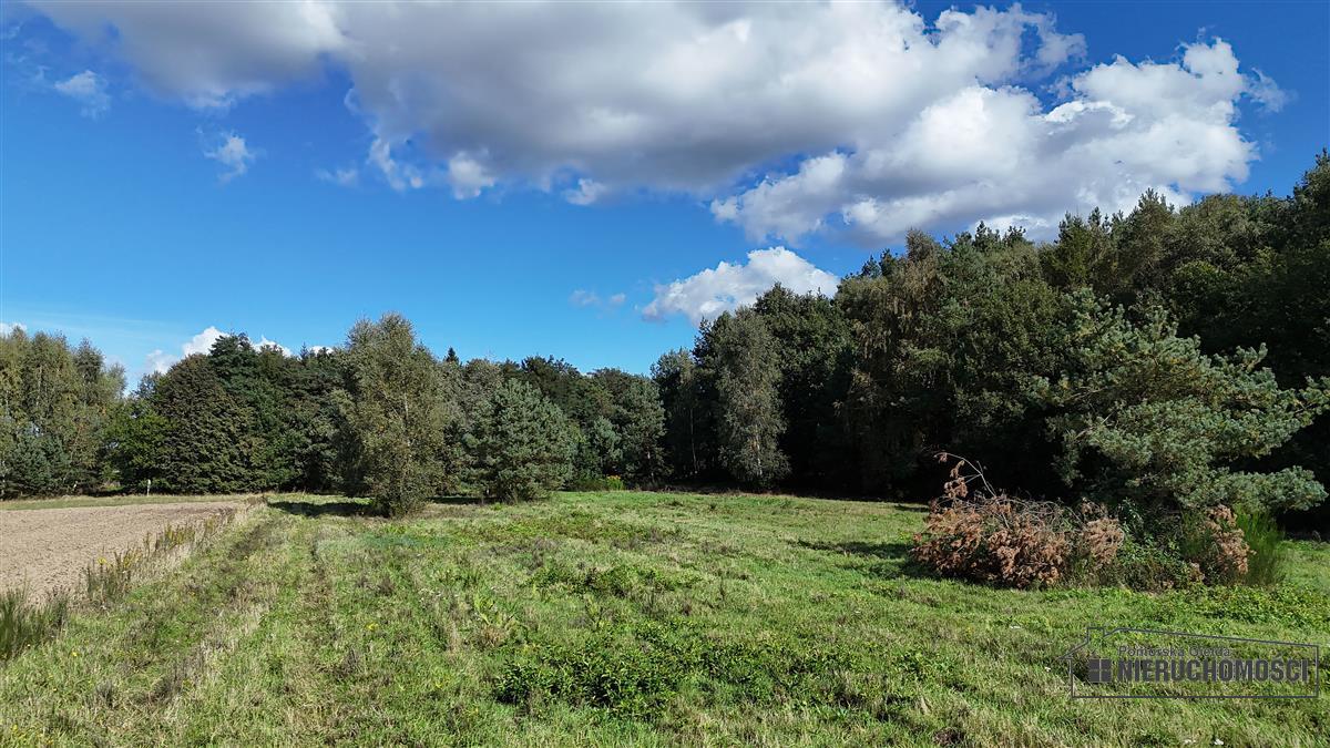 Sprzedaż Działka rolna Dargikowo