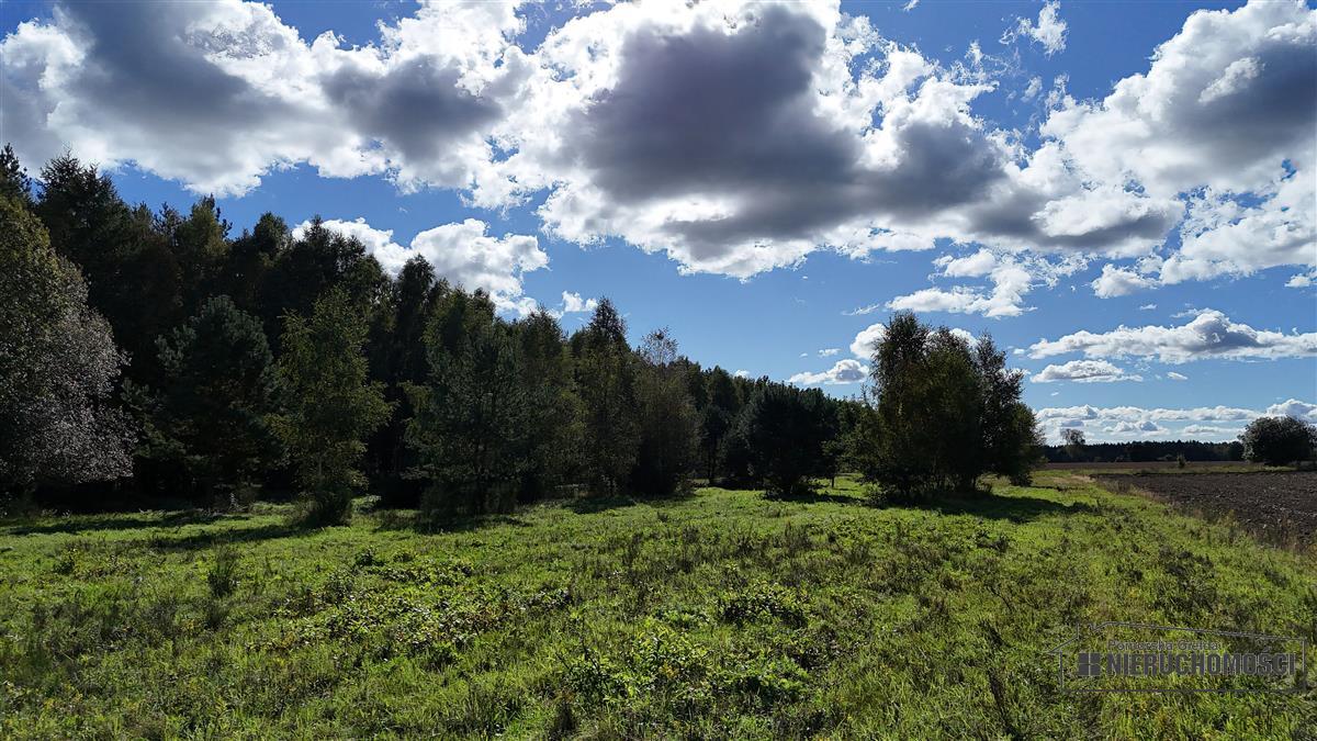 Sprzedaż Działka rolna Dargikowo