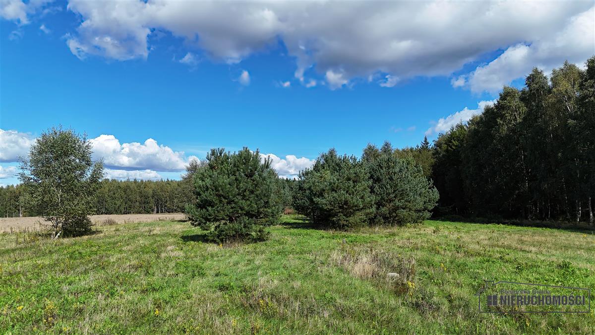 Sprzedaż Działka rolna Dargikowo