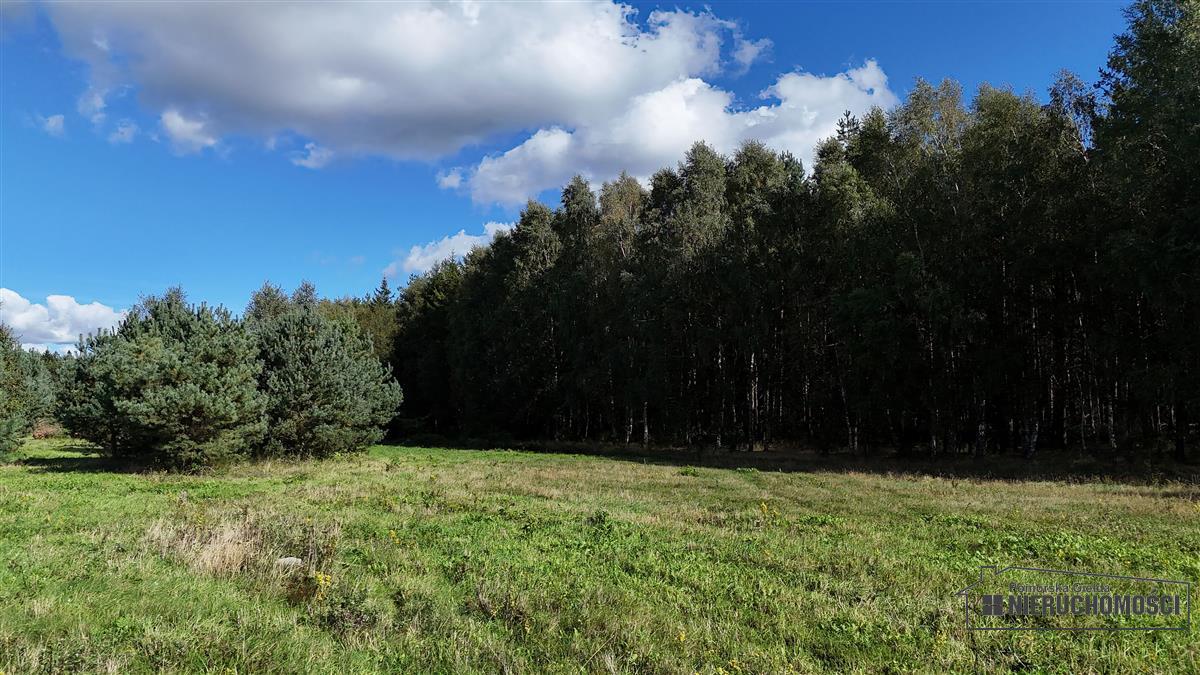 Sprzedaż Działka rolna Dargikowo