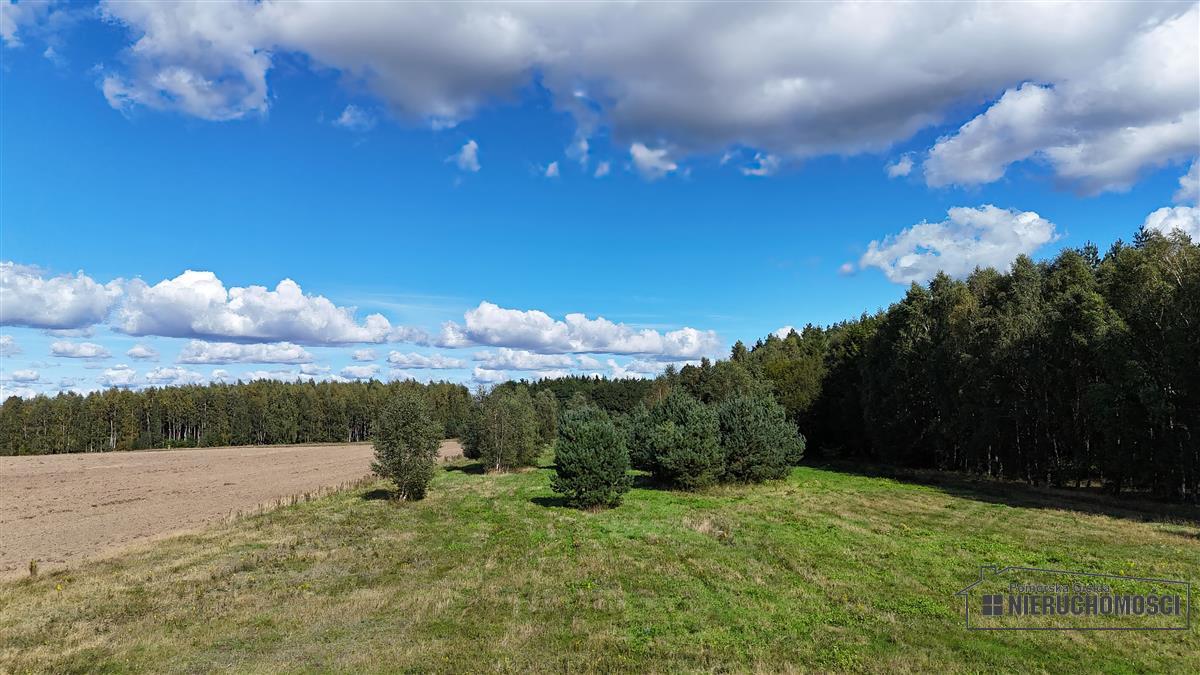 Sprzedaż Działka rolna Dargikowo