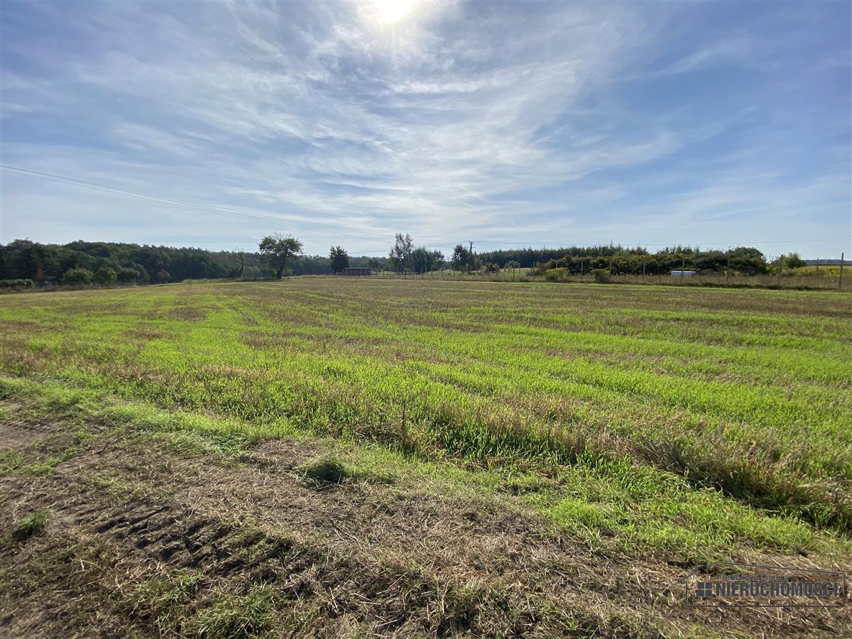 Sprzedaż Działka budowlana Wyszomierz