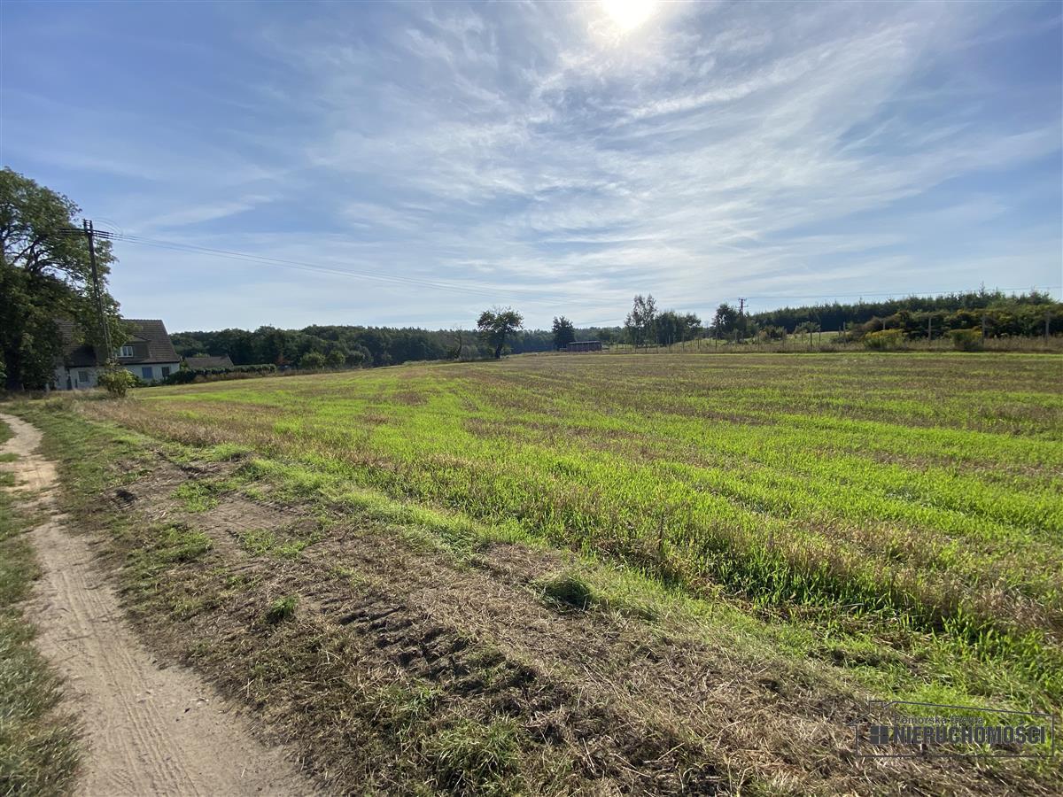Sprzedaż Działka budowlana Wyszomierz