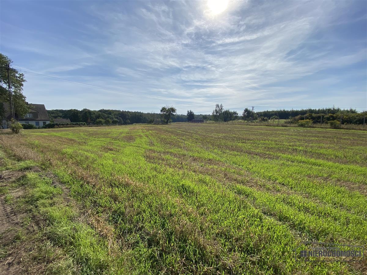 Sprzedaż Działka budowlana Wyszomierz