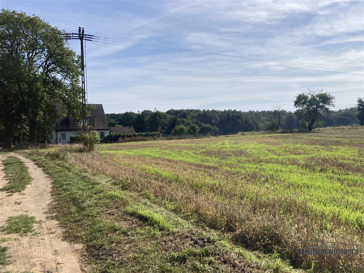 Sprzedaż Działka budowlana Wyszomierz