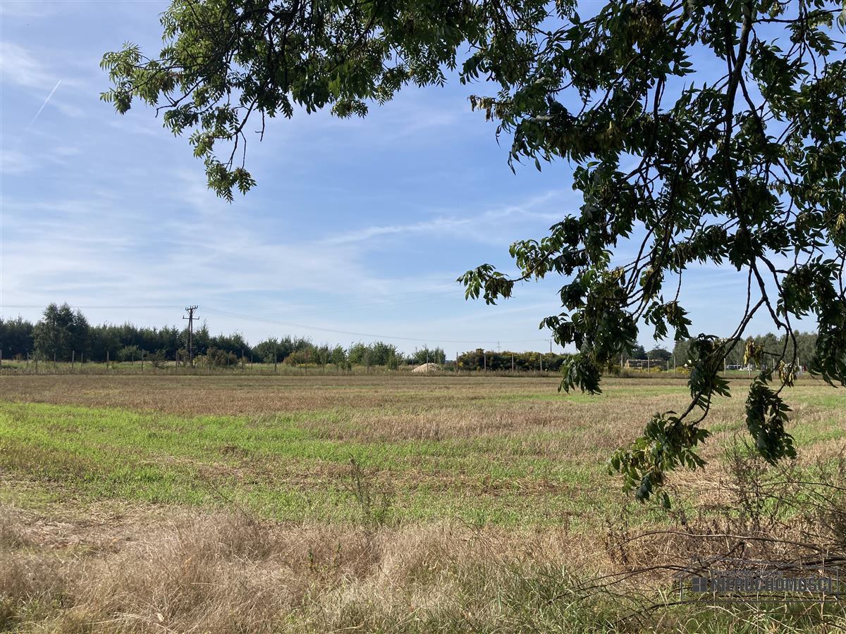 Sprzedaż Działka budowlana Wyszomierz