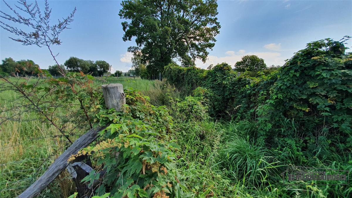 Sprzedaż Działka budowlana Piasek