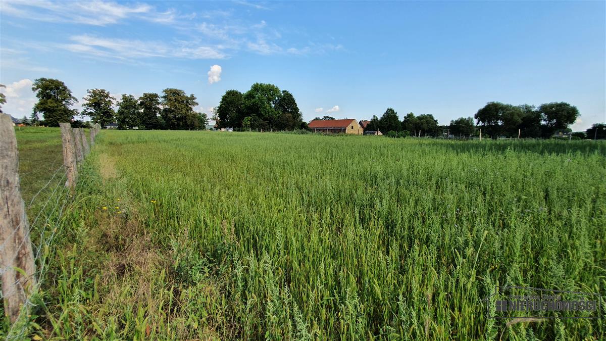 Sprzedaż Działka budowlana Piasek