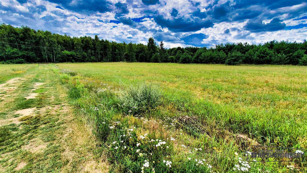 Sprzedaż Działka budowlana Czyżkowo