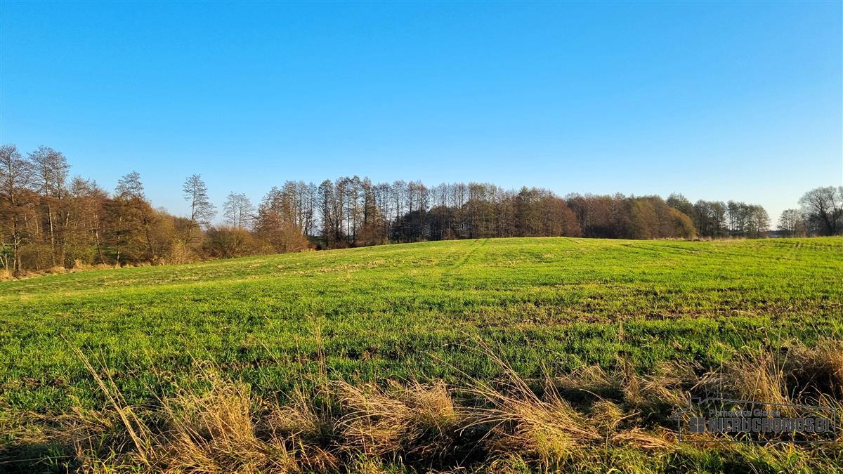 Sprzedaż Działka siedliskowa Parsęcko