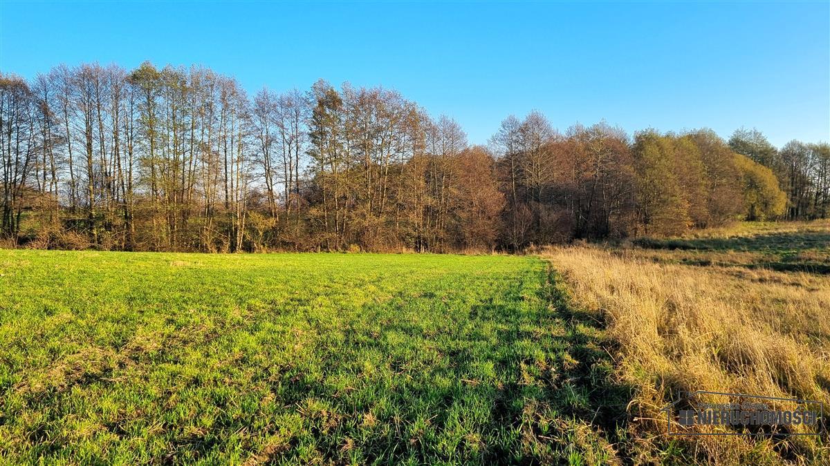 Sprzedaż Działka siedliskowa Parsęcko