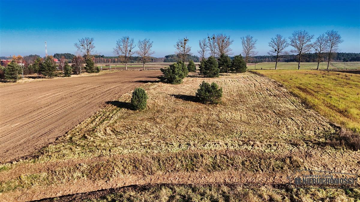 Sprzedaż Działka budowlana Świerczyna