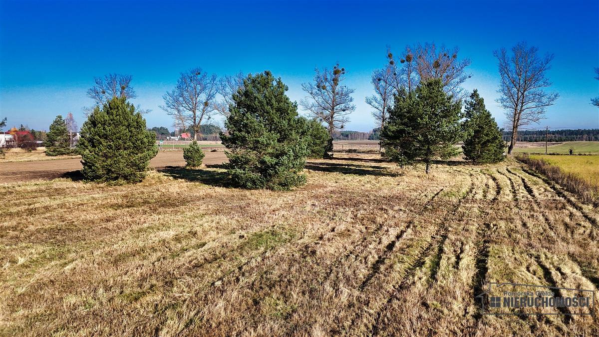 Sprzedaż Działka budowlana Świerczyna