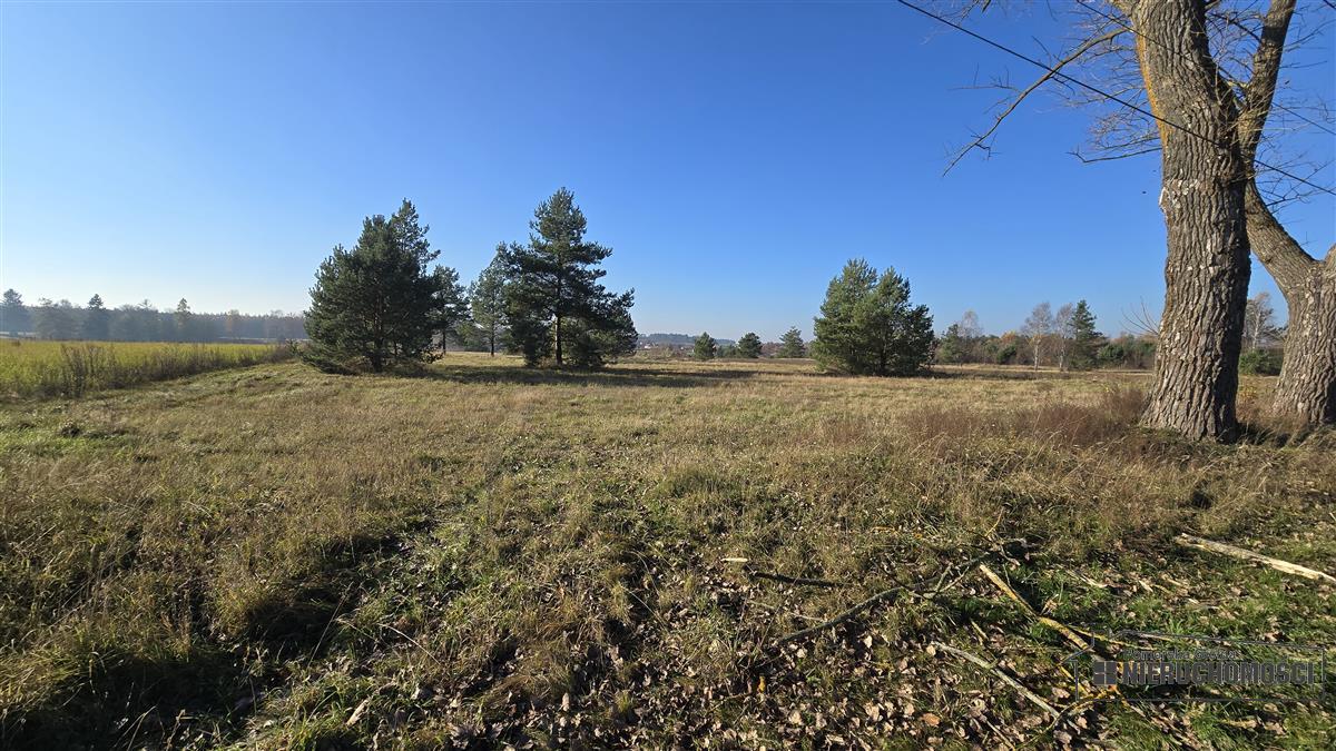 Sprzedaż Działka budowlana Świerczyna