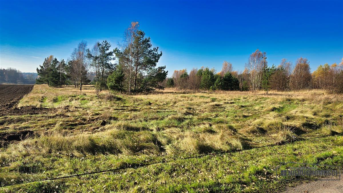 Sprzedaż Działka budowlana Świerczyna